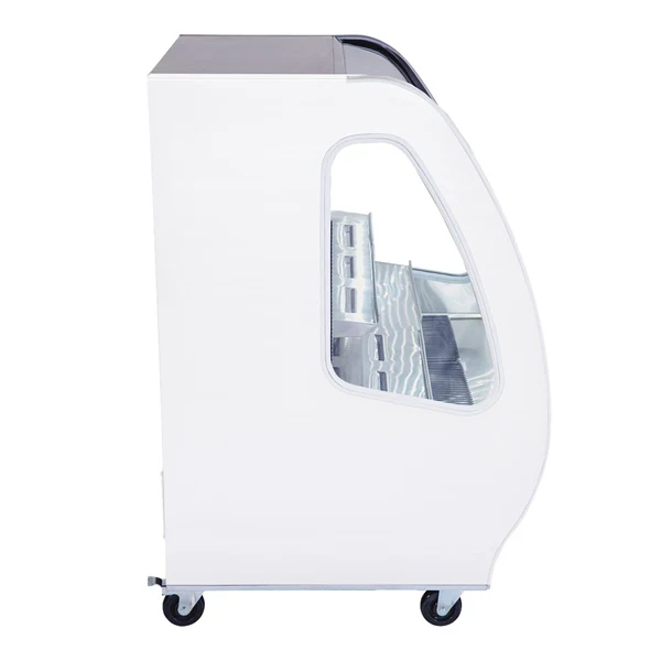 40" Pro-Kold Deli Case White 14 Cu.Ft - DDC-40W - Image 4