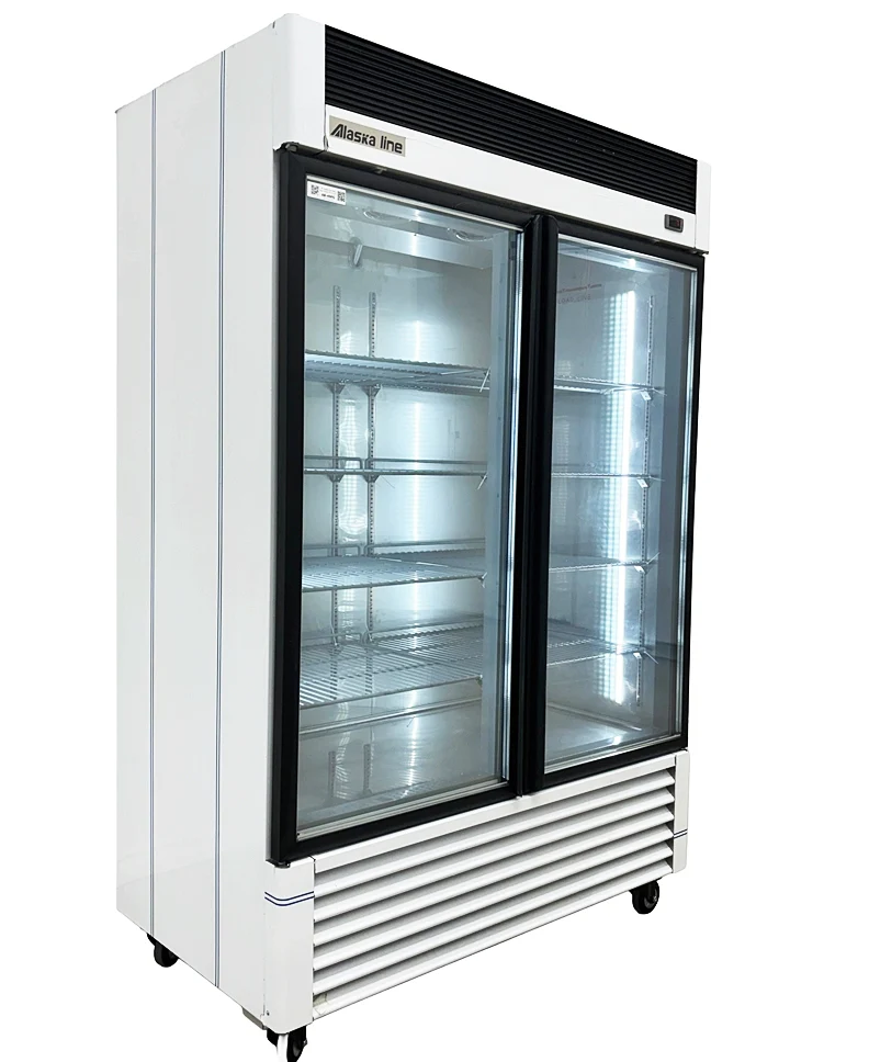 55" Alaska-Line Reach in 2 Glass Door Freezer 50 Cu.Ft HIT-408 - Image 5