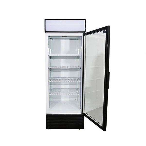 24" CHEF Single Door Upright Cooler 15.5Cu. Ft. LG-450F - Image 3