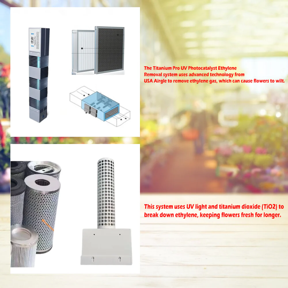 Alaska-Line Floral Showcase Refrigerator 54'' - Special Cooling System For Flowers 53.4 Cu.Ft. HIT-809 - Image 9
