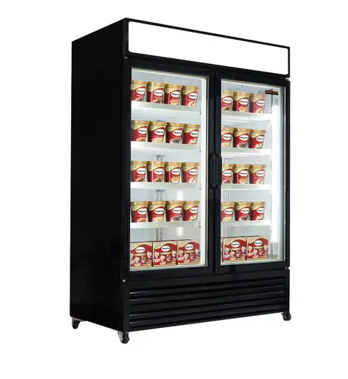 New Air 54.5" Two Glass Door Reach-In Freezer with 1073L Capacity NGF-122-H